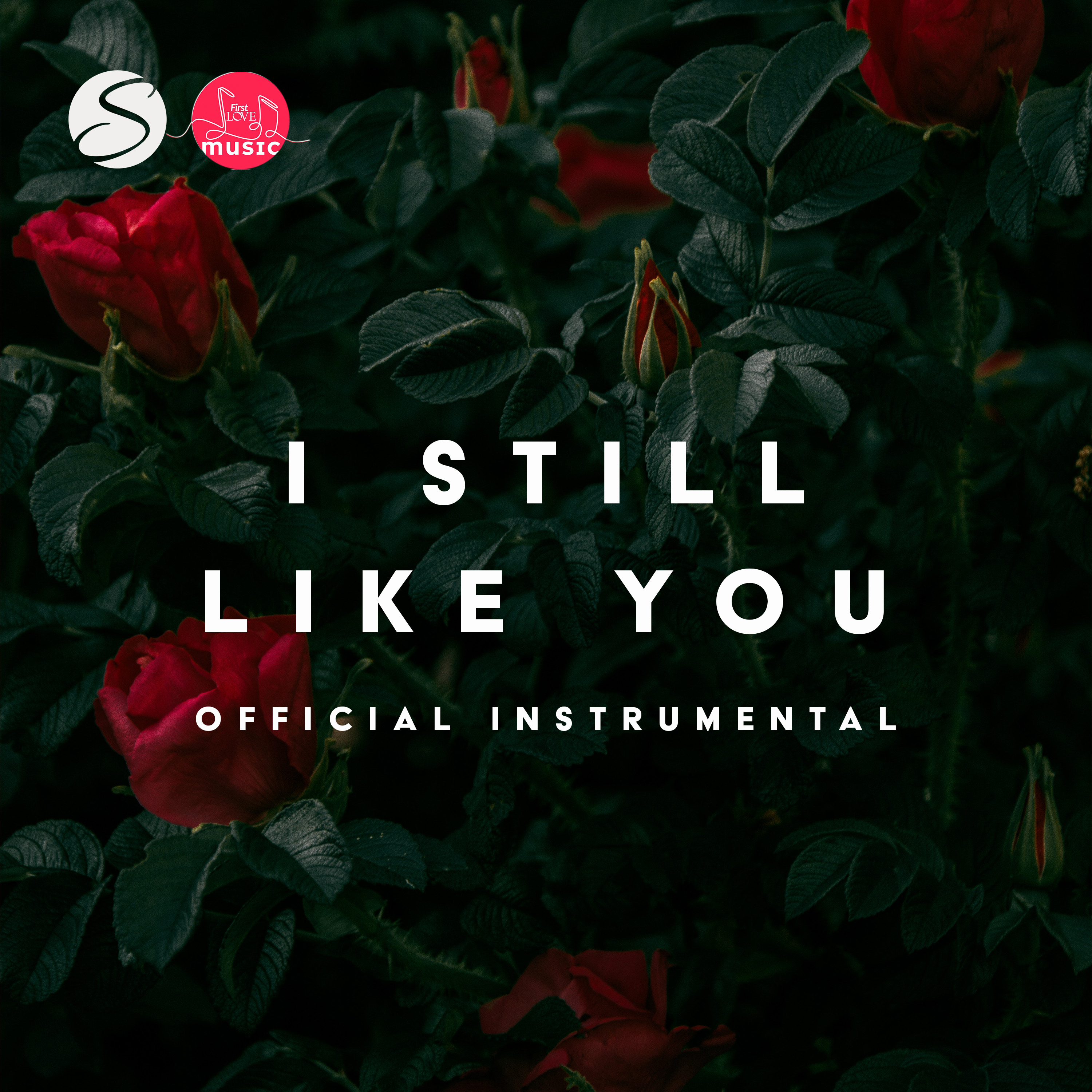 shemenmusic-i-still-like-you